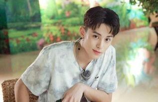 圈内人士爆料王鹤棣视频,圈内人士揭秘幕后真相  第3张